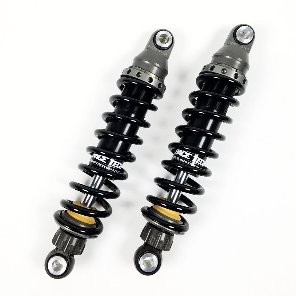 RaceTech IFP Shocks (Harley FXR)