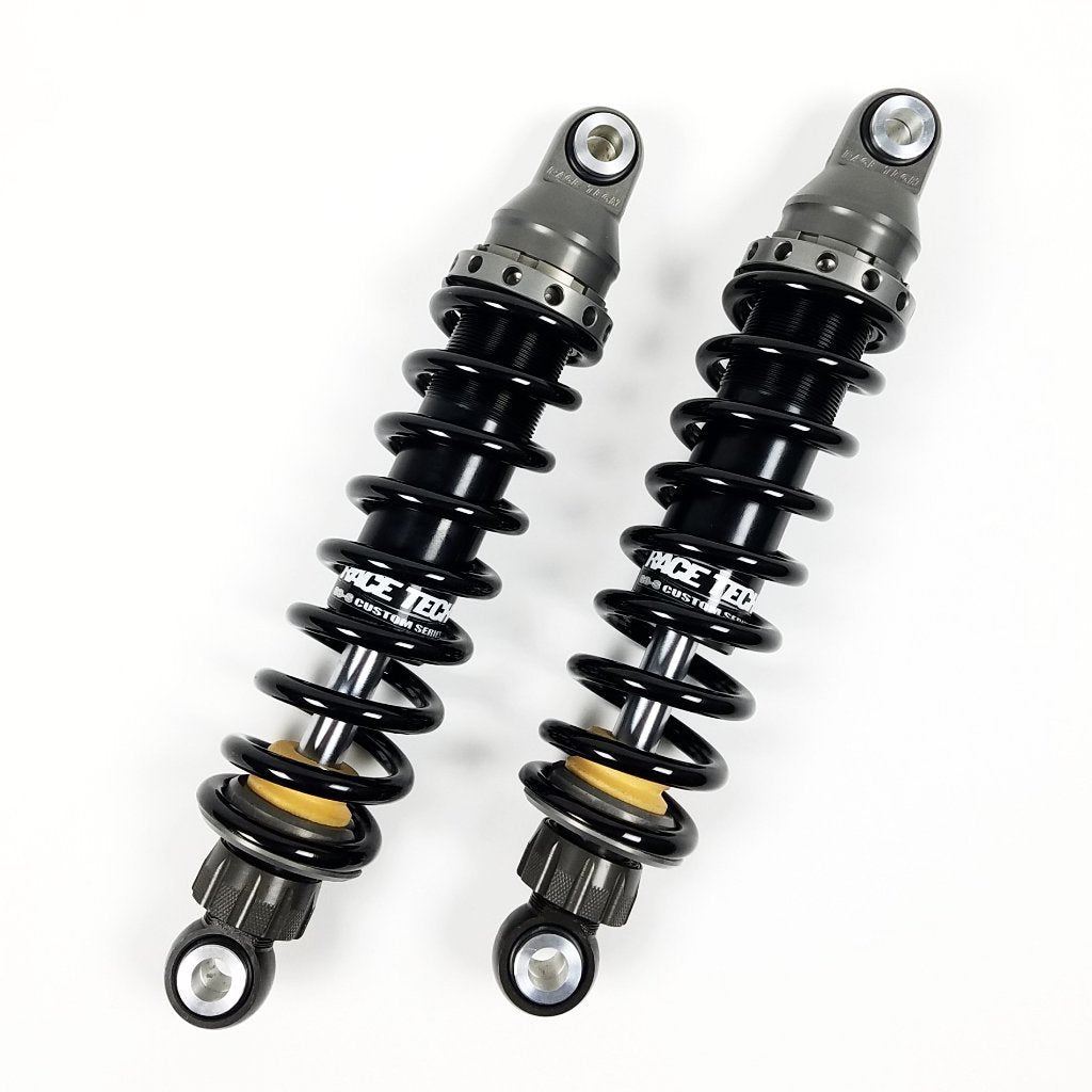 RaceTech IFP Shocks (Harley RoadGlide)