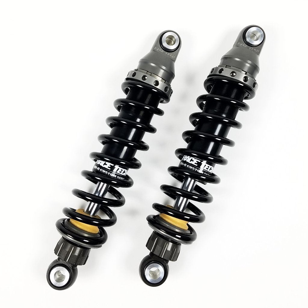 RaceTech IFP Shocks (Harley Dyna)